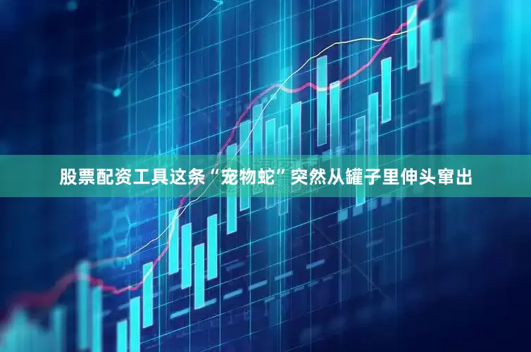 股票配资工具这条“宠物蛇”突然从罐子里伸头窜出