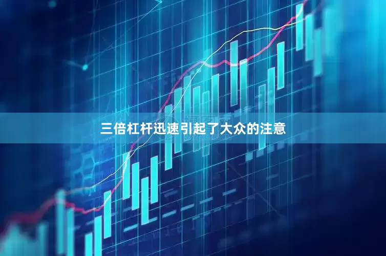 三倍杠杆迅速引起了大众的注意