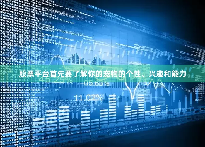股票平台首先要了解你的宠物的个性、兴趣和能力