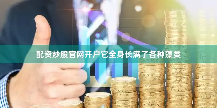 配资炒股官网开户它全身长满了各种藻类