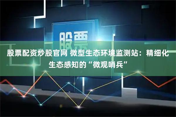 股票配资炒股官网 微型生态环境监测站：精细化生态感知的“微观哨兵”