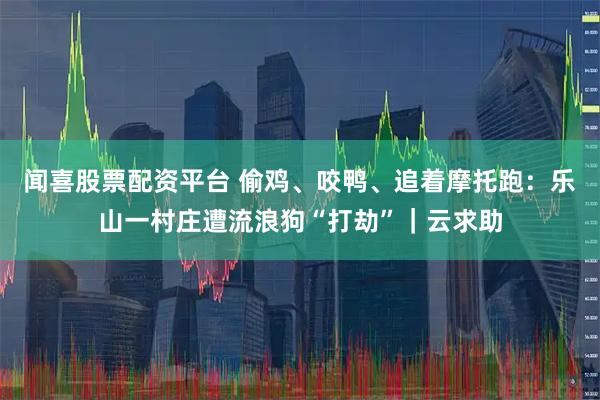 闻喜股票配资平台 偷鸡、咬鸭、追着摩托跑：乐山一村庄遭流浪狗“打劫”｜云求助